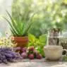 descubre las plantas medicinales que pueden apoyar el bienestar integral de la mujer, proporcionando alivio natural y promoviendo la salud femenina de manera efectiva.