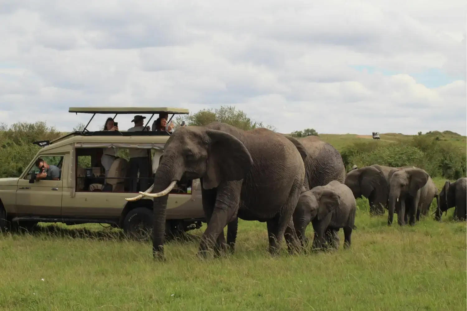 Reserva Nacional Masái Mara, Kenia