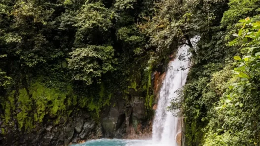 El viaje que reconecta: naturaleza