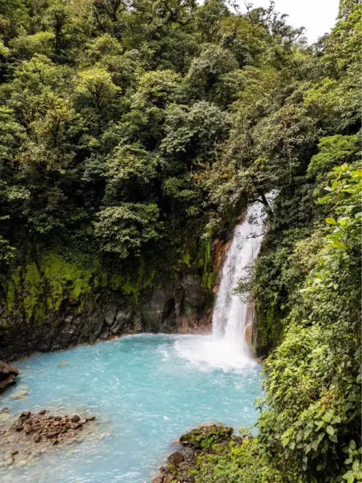 El viaje que reconecta: naturaleza