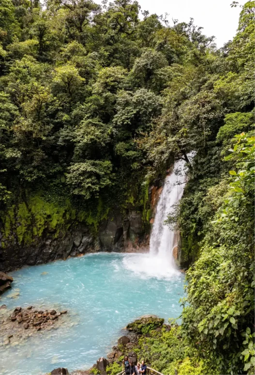 El viaje que reconecta: naturaleza
